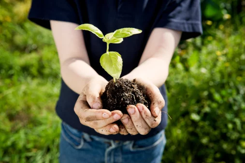 dziecko trzymające ziemie z roślinką